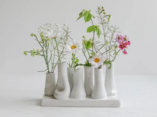 JUNO BURCU HESAPLAMA